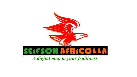 Sales and Marketing Freelancer New Job Opportunity at Seifson Africolla